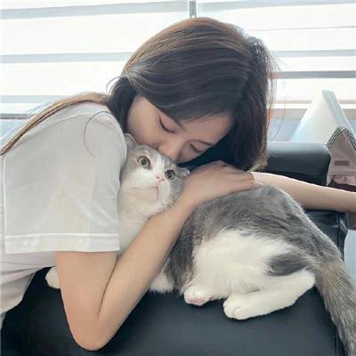 飞吧!